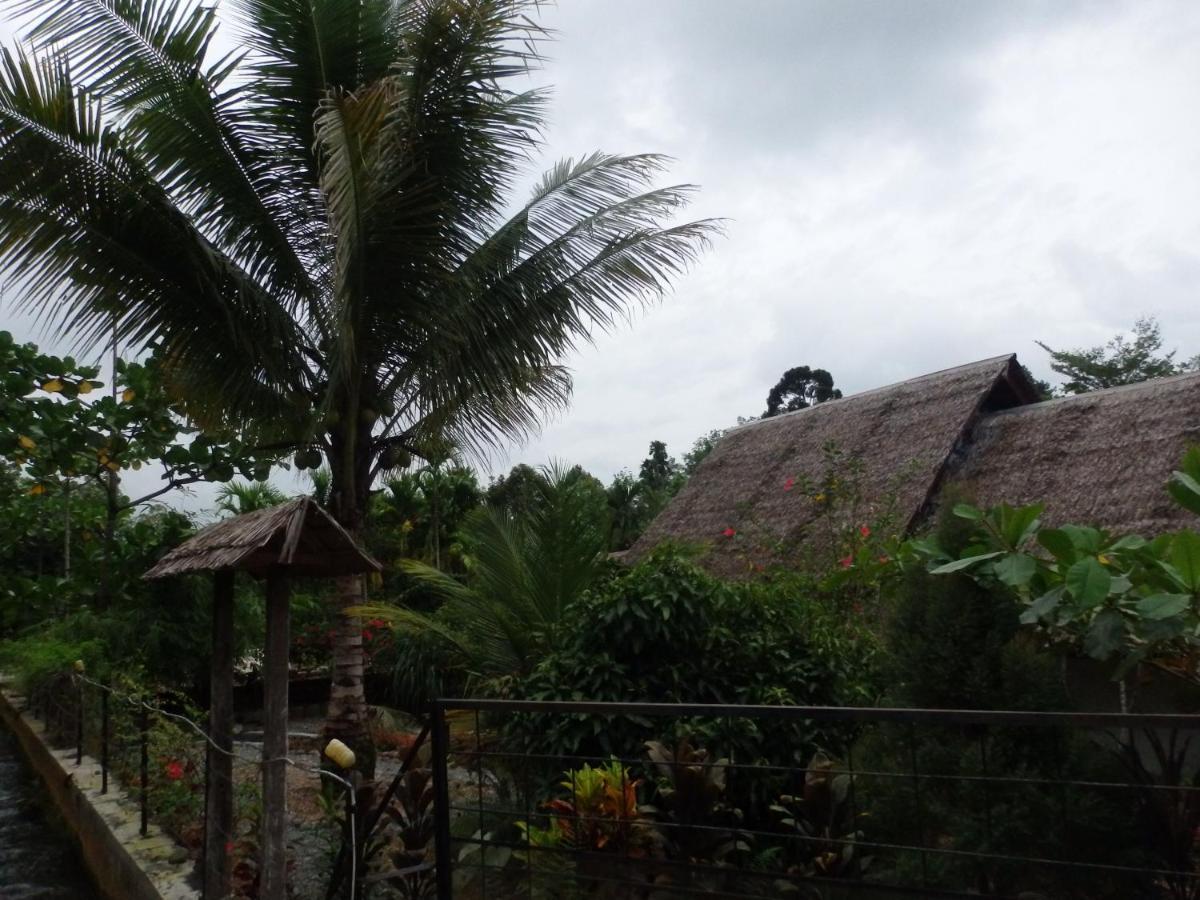 Magpie Homestay & Jungle Trekking Only For Guest Trekking With Us Bukit Lawang Exterior foto