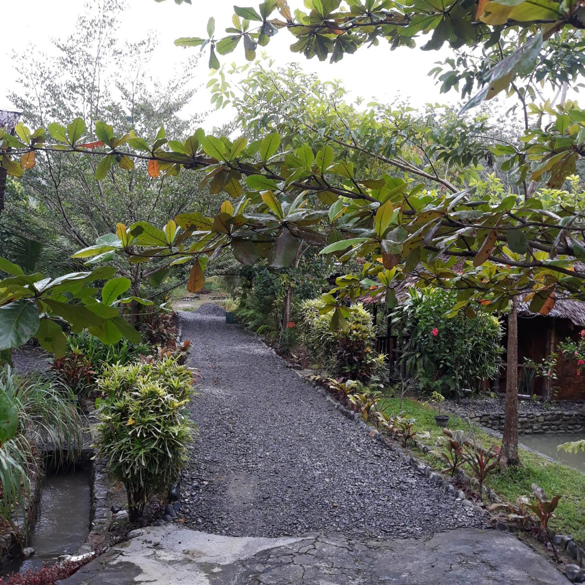 Magpie Homestay & Jungle Trekking Only For Guest Trekking With Us Bukit Lawang Cameră foto