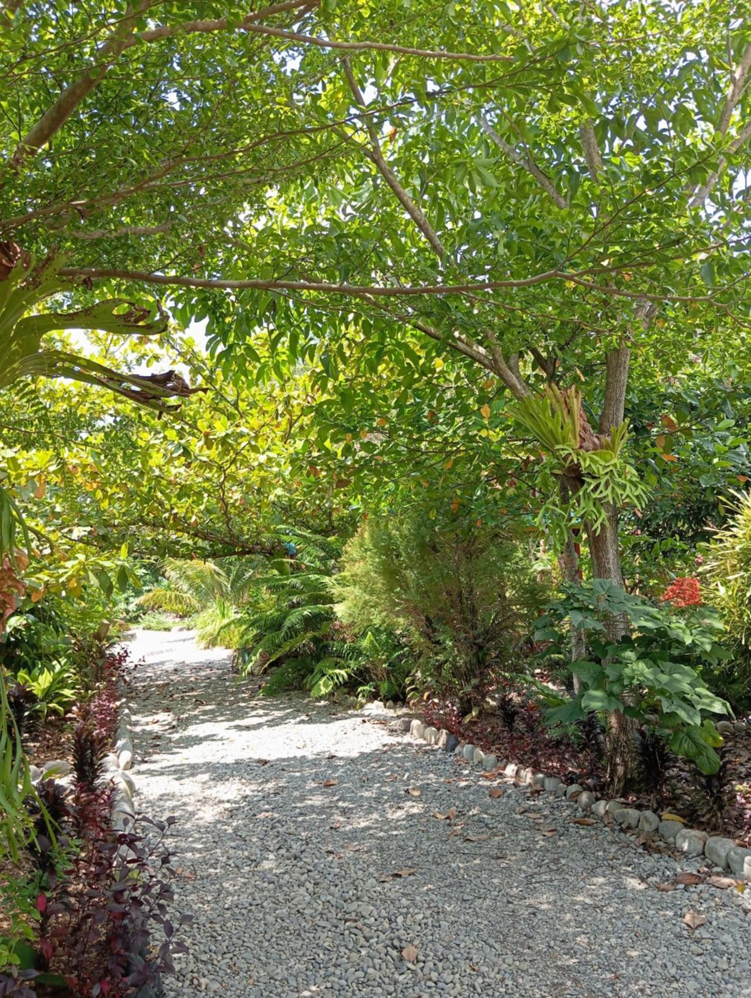 Magpie Homestay & Jungle Trekking Only For Guest Trekking With Us Bukit Lawang Exterior foto