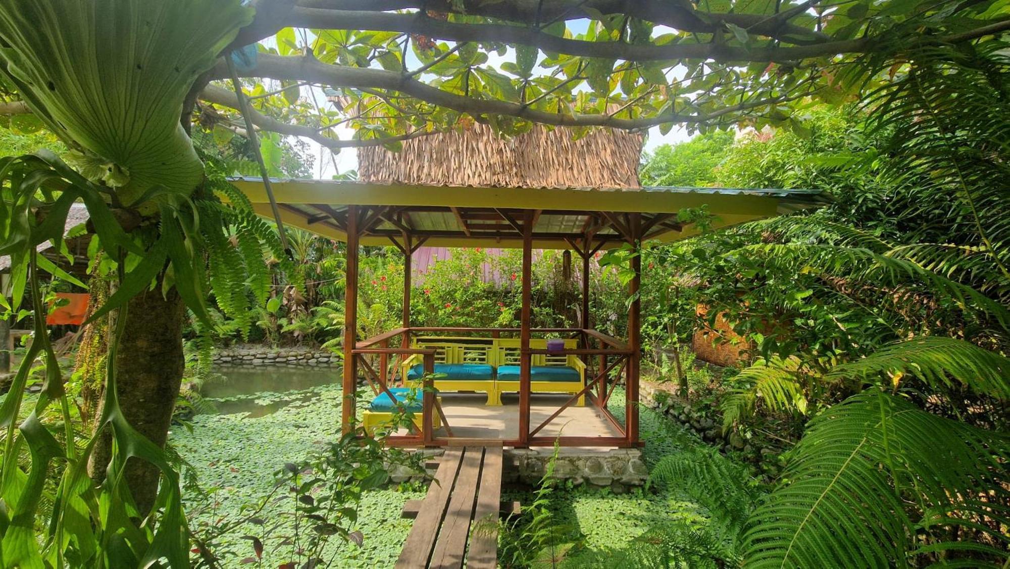 Magpie Homestay & Jungle Trekking Only For Guest Trekking With Us Bukit Lawang Exterior foto