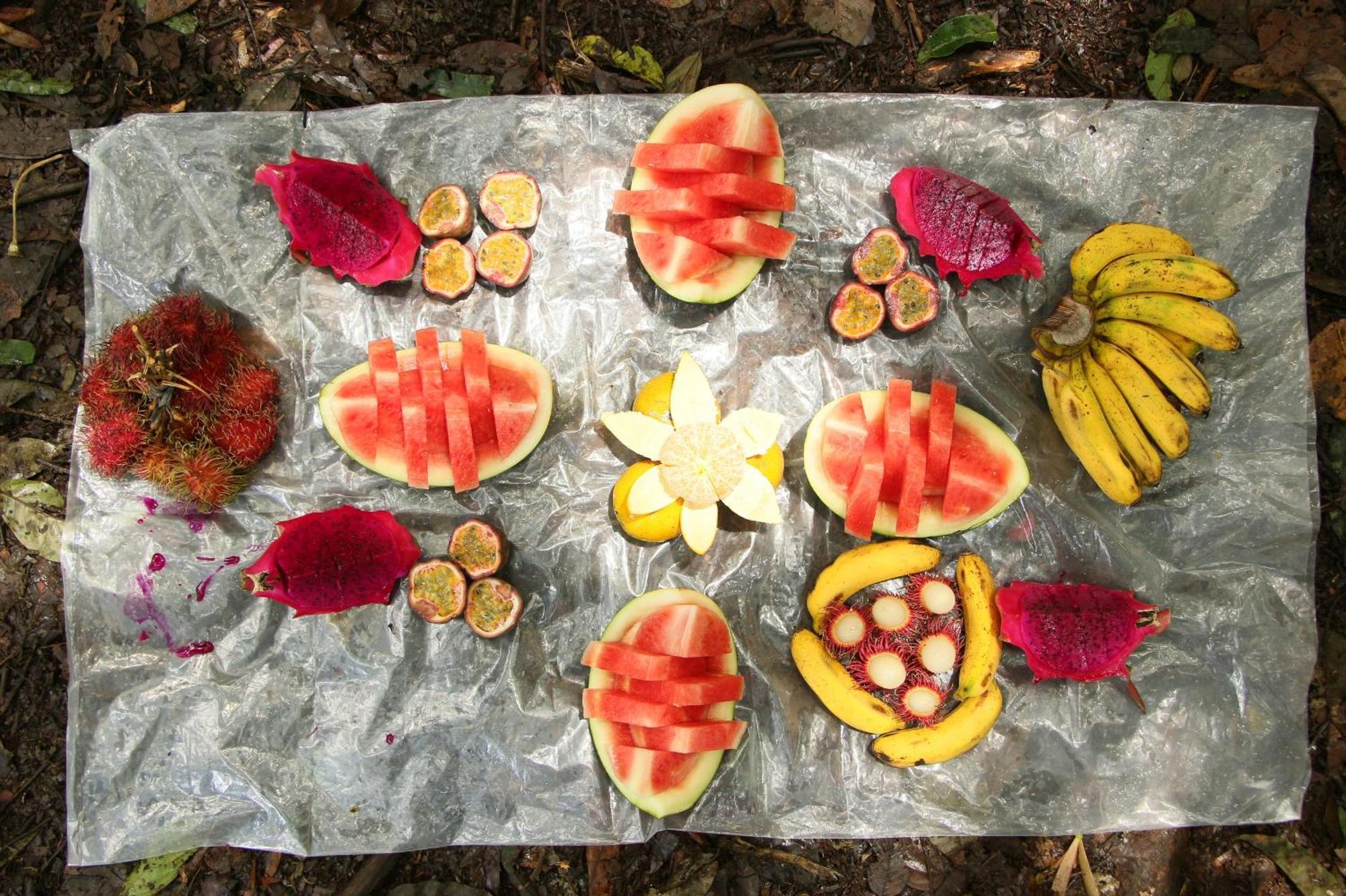 Magpie Homestay & Jungle Trekking Only For Guest Trekking With Us Bukit Lawang Exterior foto