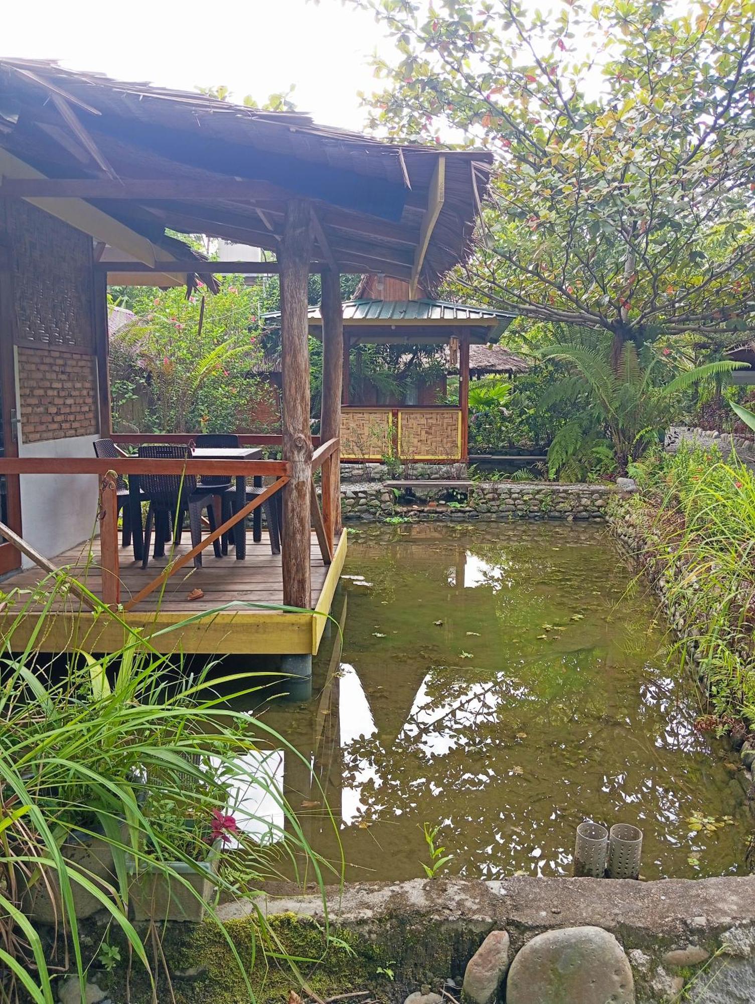 Magpie Homestay & Jungle Trekking Only For Guest Trekking With Us Bukit Lawang Cameră foto