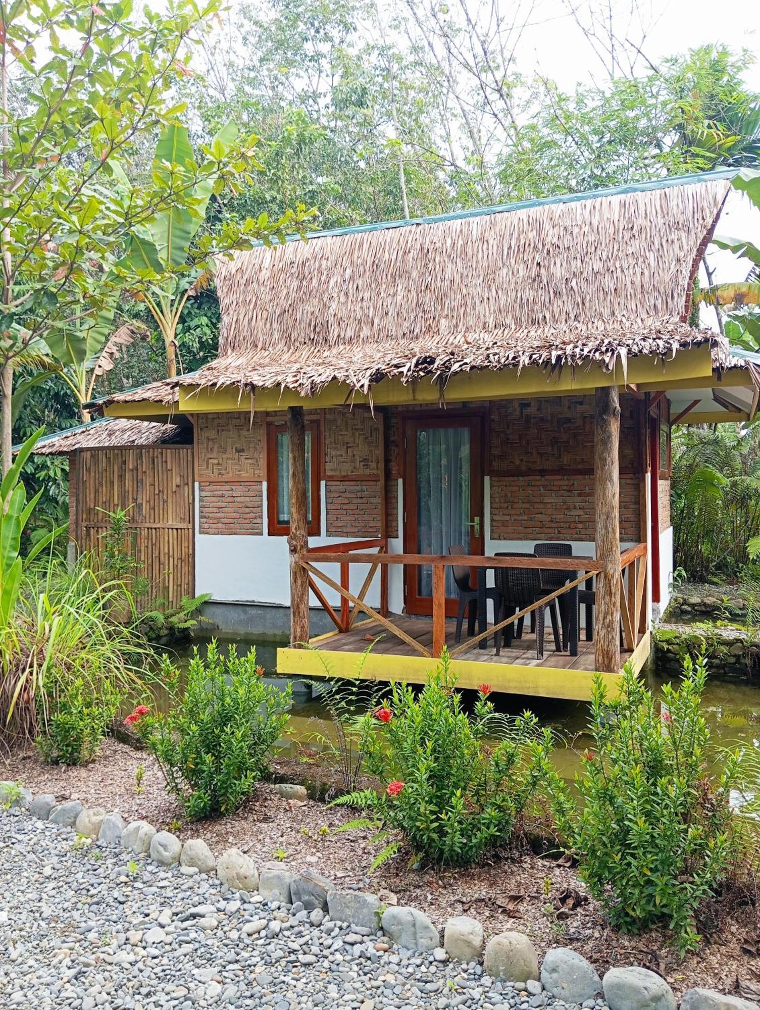 Magpie Homestay & Jungle Trekking Only For Guest Trekking With Us Bukit Lawang Exterior foto