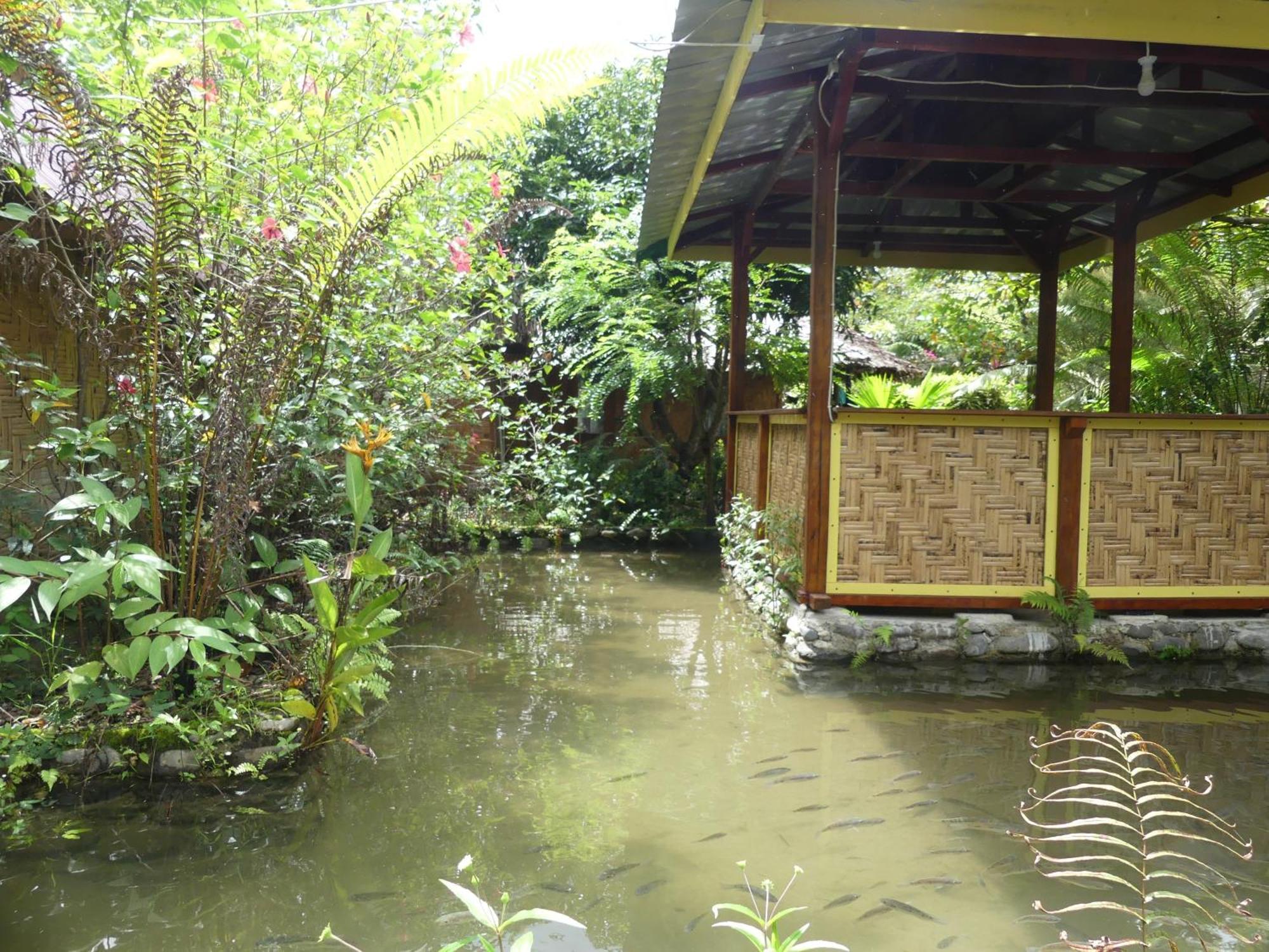 Magpie Homestay & Jungle Trekking Only For Guest Trekking With Us Bukit Lawang Cameră foto