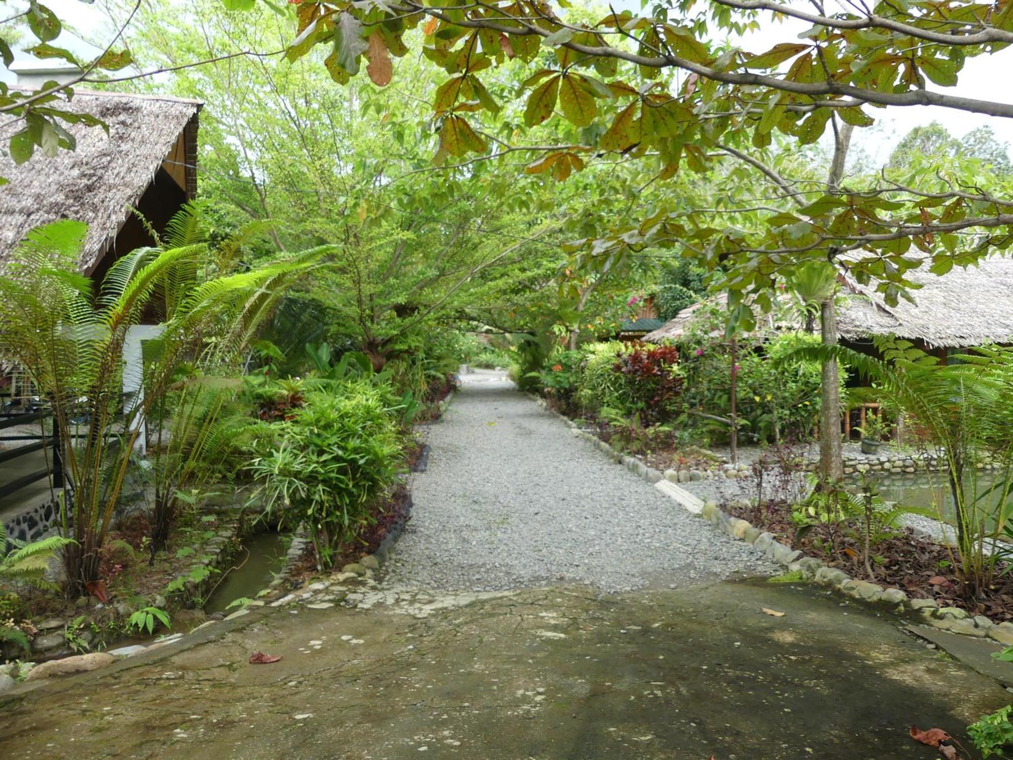 Magpie Homestay & Jungle Trekking Only For Guest Trekking With Us Bukit Lawang Exterior foto