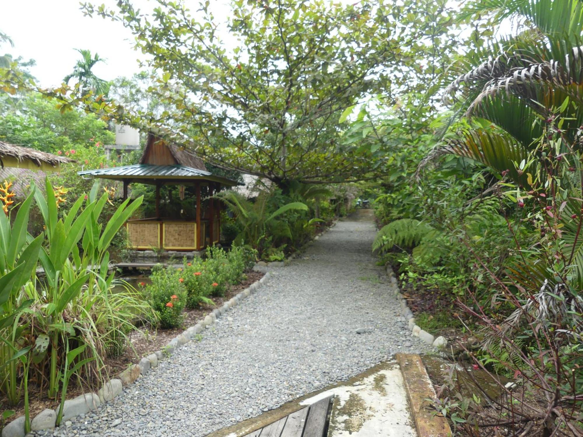 Magpie Homestay & Jungle Trekking Only For Guest Trekking With Us Bukit Lawang Cameră foto