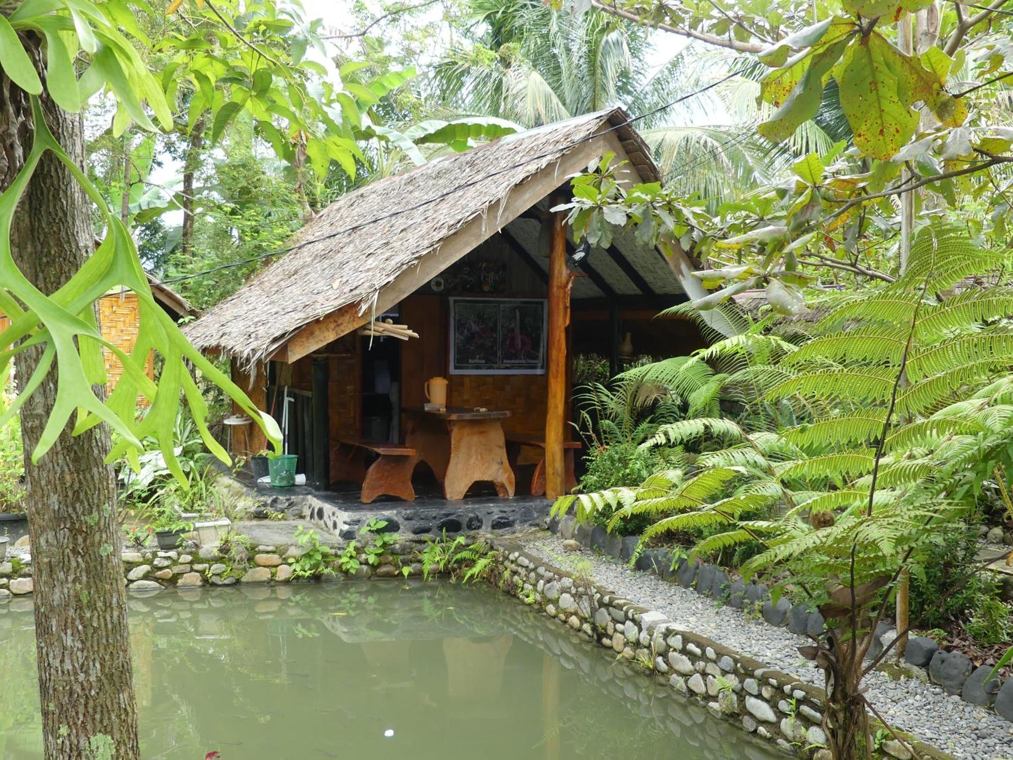 Magpie Homestay & Jungle Trekking Only For Guest Trekking With Us Bukit Lawang Exterior foto